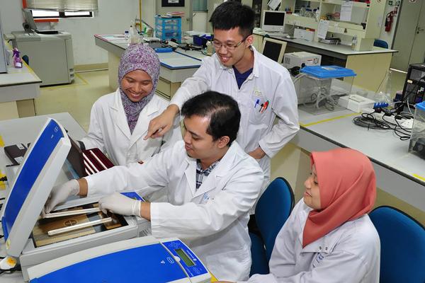 马来西亚国立大学会计学专业剖析：课程特色与就业前景