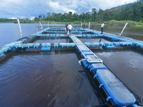 马来西亚国立大学教育学专业全解：热门课程与师资力量揭秘